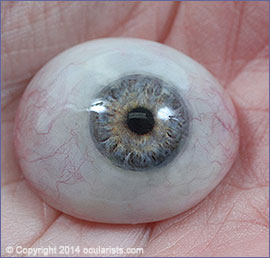 closeup-prosthetic-eye-artificial-eye-information-eye